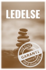 PLD LEDELSE