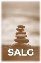 PLD SALG