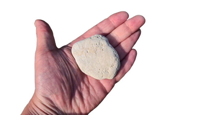 Stone_4-removebg-preview Stone 4