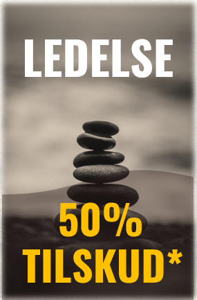 PLD Ledelse er for dig, der: