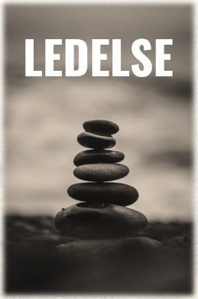 PLD LEDELSE PLD Ledelse er for dig, der: