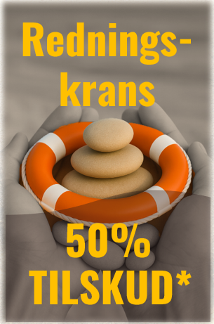 Hvad får virksomheden ud af PLD Redningskrans?